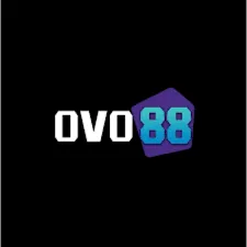 OVO88 - Permainan QiuQiu Seru dan Menantang